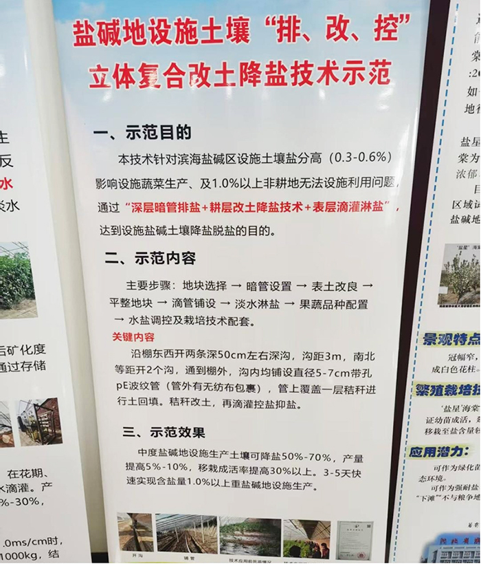 88.jpg